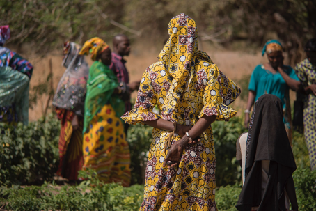 Women farmers in Senegal